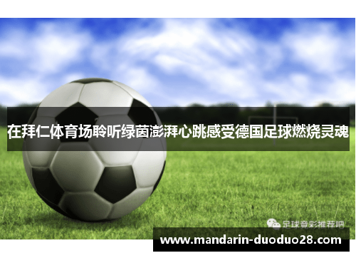 在拜仁体育场聆听绿茵澎湃心跳感受德国足球燃烧灵魂 在拜仁体育场聆听绿茵澎湃心跳感受德国足球燃烧灵魂