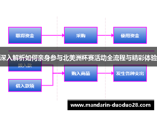 深入解析如何亲身参与北美洲杯赛活动全流程与精彩体验
