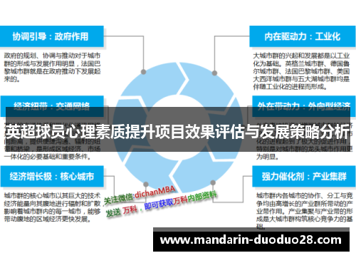 英超球员心理素质提升项目效果评估与发展策略分析