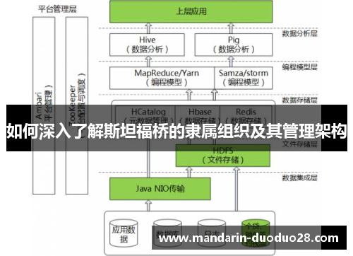 如何深入了解斯坦福桥的隶属组织及其管理架构