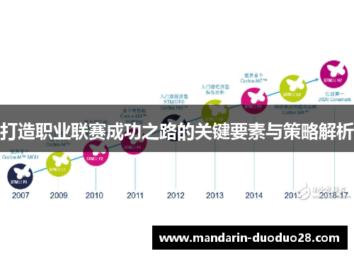 打造职业联赛成功之路的关键要素与策略解析