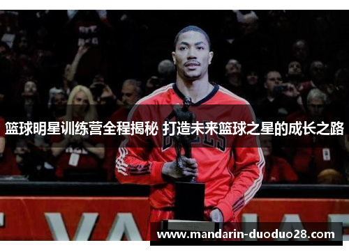 篮球明星训练营全程揭秘 打造未来篮球之星的成长之路