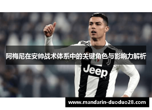 阿梅尼在安帅战术体系中的关键角色与影响力解析