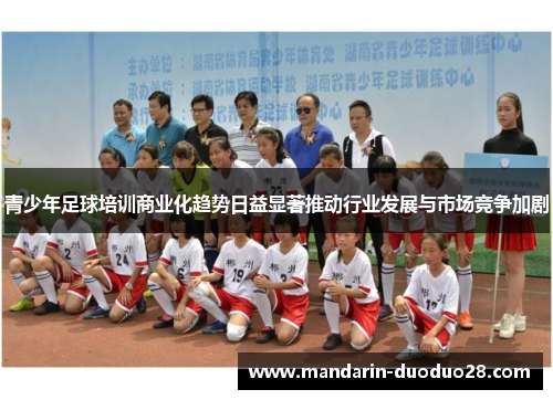 青少年足球培训商业化趋势日益显著推动行业发展与市场竞争加剧